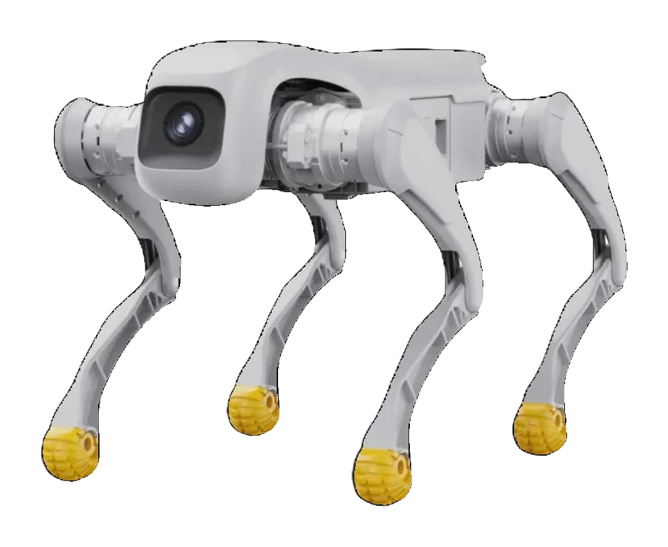 AGIBOT D1 EDU