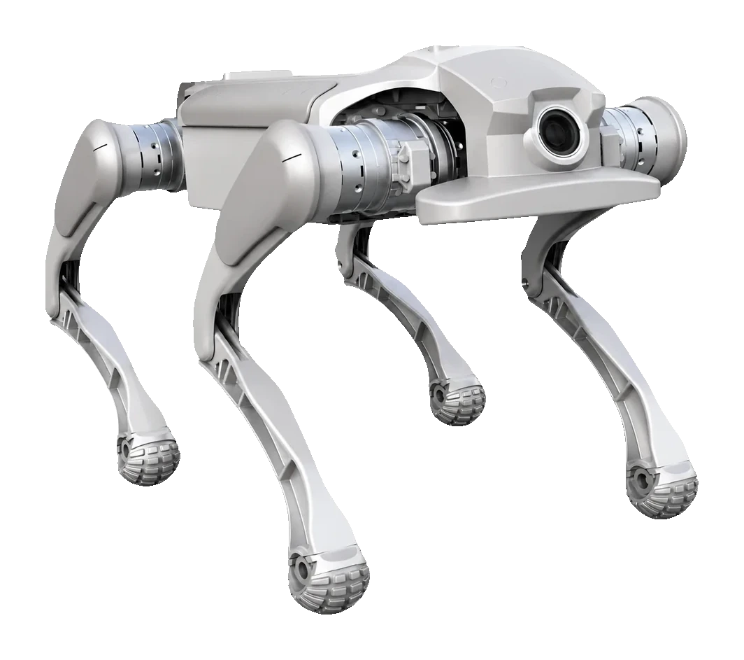 Genisom L1
