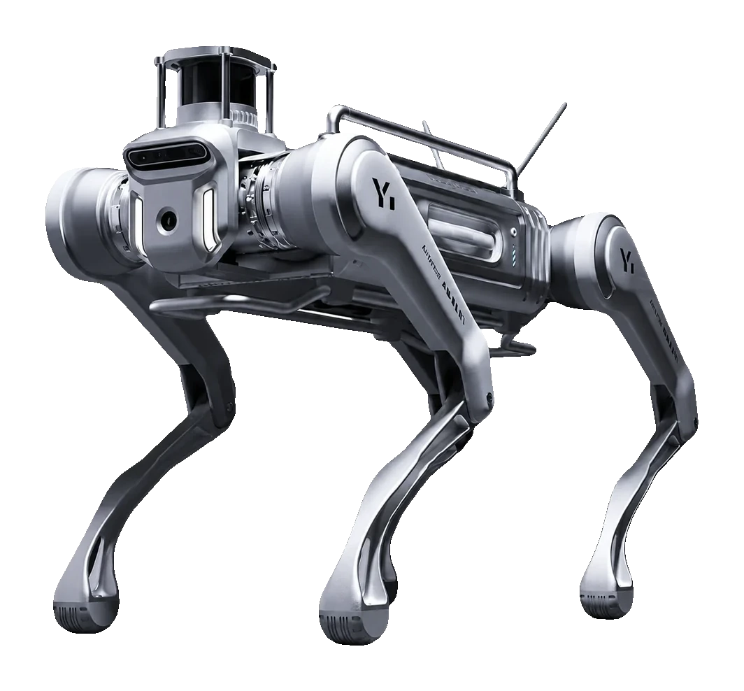 MagicDog Y1