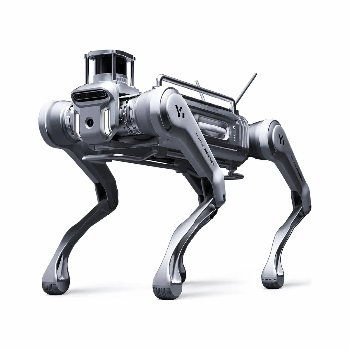 MagicLab MagicDog Y1